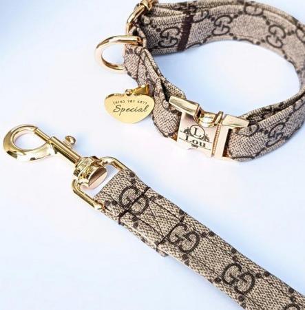 Image 4 of Louis Vuitton Dog Collar and Leash