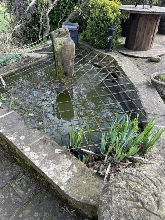 Image 1 of Home for pond fish needed- mixture.