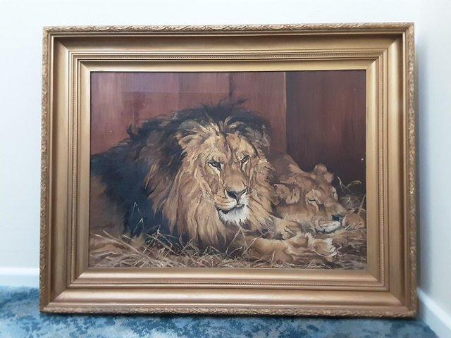 Preview of the first image of OIL ON CANVAS PAINTING GILT FRAME 1905 SIGN LION & LIONESS.
