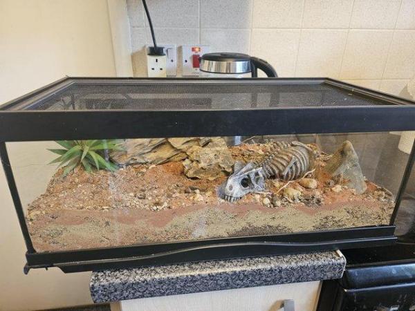 Image 4 of Zoo med glass terrarium,  tarantula  / scorpion