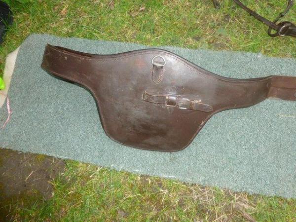 Image 3 of Brown leather Studguard Jumping Girth 48"