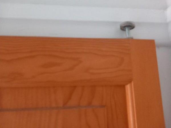 Image 1 of Bi-fold pine wood paneled internal doors
