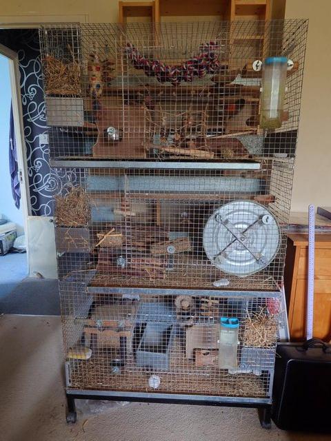 Preview of the first image of 3 Tier Chinchilla Cage (John Hopewell).