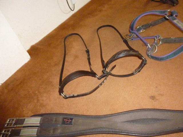 Preview of the first image of 2 drop nosebands one slightly smaller than the other..