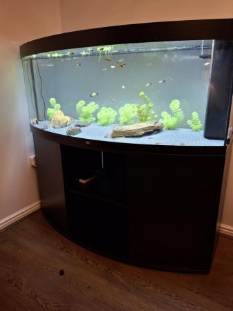 Image 1 of Juwel Vision 450 fish tank aquarium