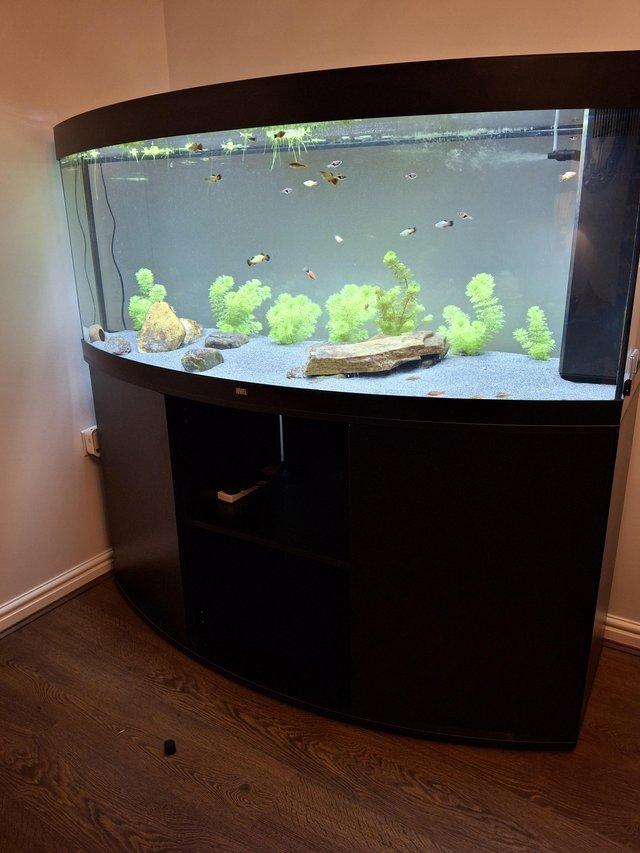 Preview of the first image of Juwel Vision 450 fish tank aquarium.