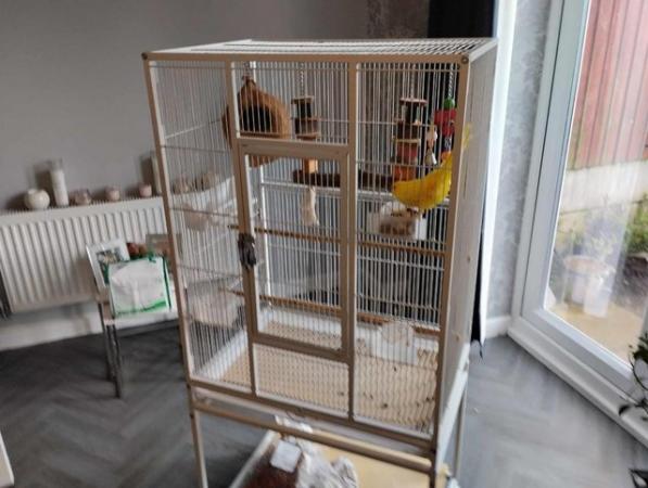 Image 2 of parakeet  and Cage and all accessories