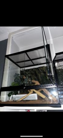 Image 5 of Exo Terra Glass Terrarium Medium/Tall