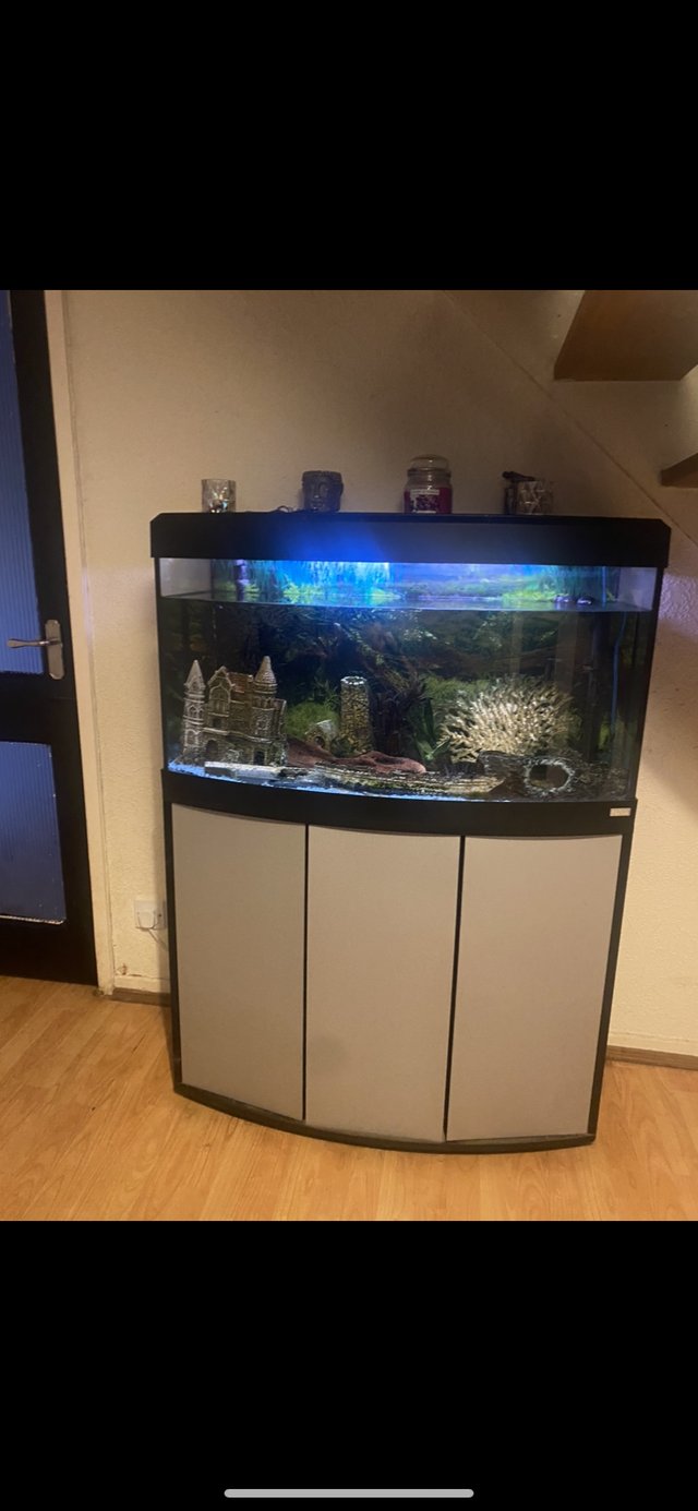 Preview of the first image of 180L FLUVAL fish tank with external filter and heater.