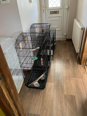 Image 8 of Hi large bird cage for sale thanks