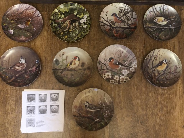 Preview of the first image of Bird collectable plates.