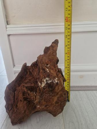 Image 2 of 3 nice pieces of Bogwood