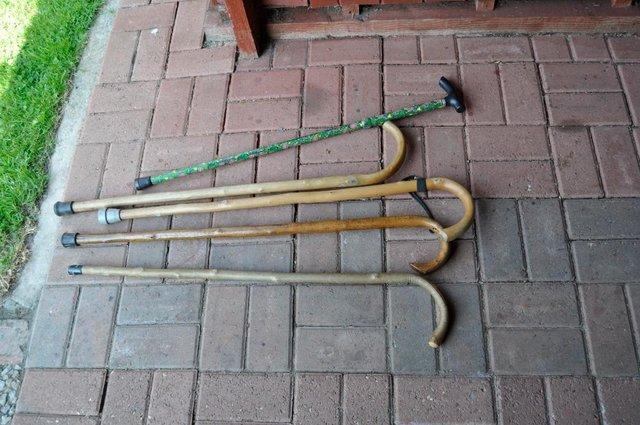 Image 1 of Bundle of walking sticks