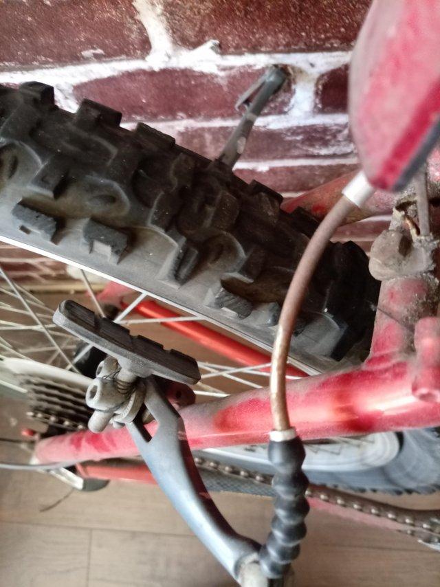 Raleigh tiger shark mountain bike — photo 3 of 3