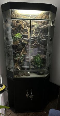 Image 7 of HUGE Full sized corner reptile terrarium / vivarium
