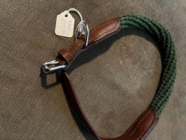 Image 4 of Large nylon dog collars also have one medium in the big paw