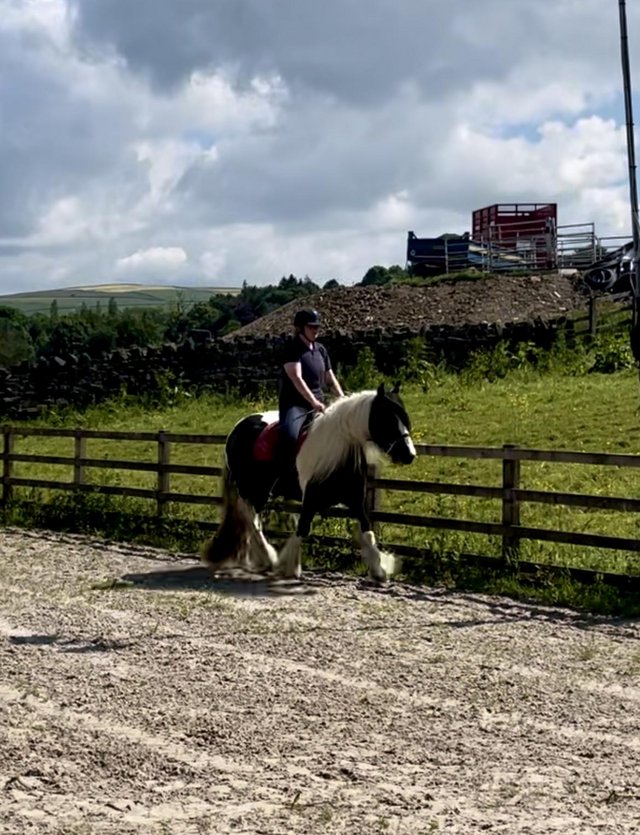 Preview of the first image of Lovely 14hh 5yo cob mare.