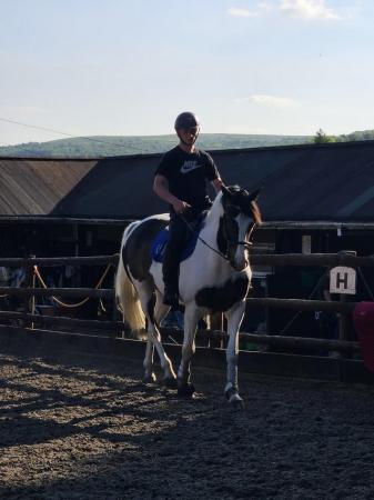 Image 1 of 16.2hh 6 year old mare for loan