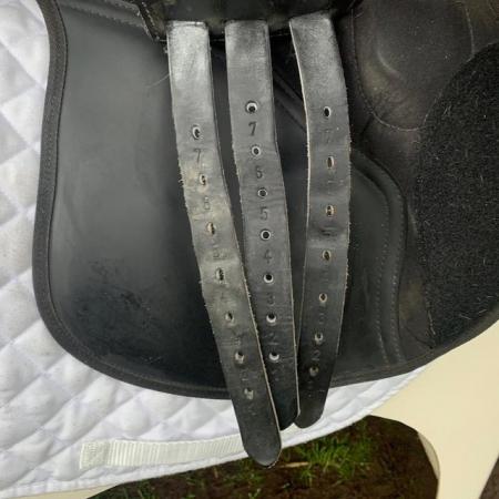 Image 16 of Saddle Company 16.5” GP Verona saddle (S3130)