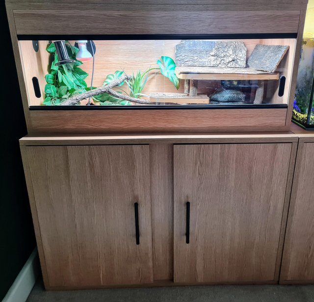 Preview of the first image of 3ft wood vivarium complete set up + cabinet.