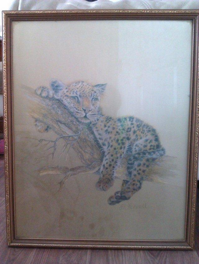 Preview of the first image of 2 x Framed Art Etching leopard Cub lions by M. Fennell Vinta.