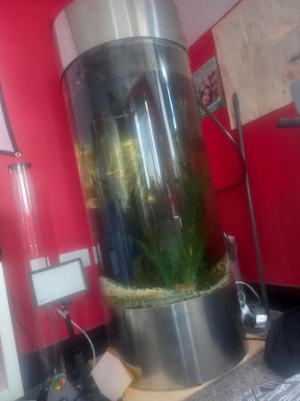 Image 4 of Fish tank with 2 fish all setup
