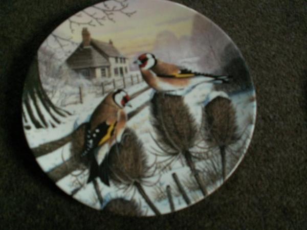 Image 1 of Limited edition plates by Chris Shields.