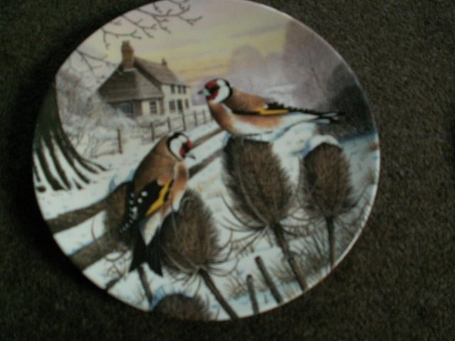 Preview of the first image of Limited edition plates by Chris Shields..