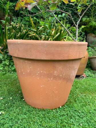 Image 3 of Lovely heavy terracotta plant pot