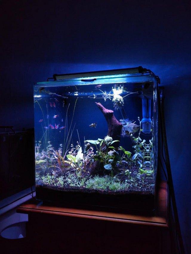 Preview of the first image of Aqua One Aqua Aspire Glass Aquarium 55 Litre.