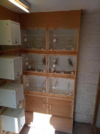 Image 3 of Budgie breeding cages for sale