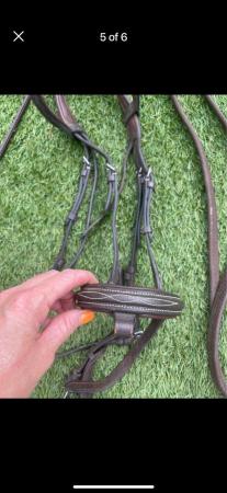 Image 3 of Cob sized bridle Havana with white stitch detail