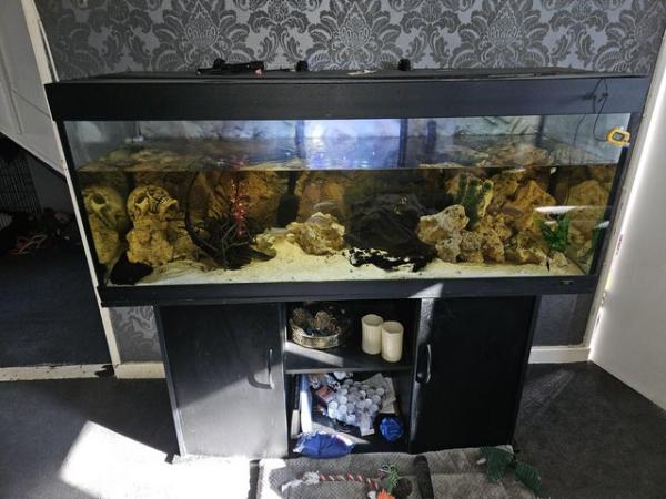 Image 5 of 5ft black fish tank with stand and everything else