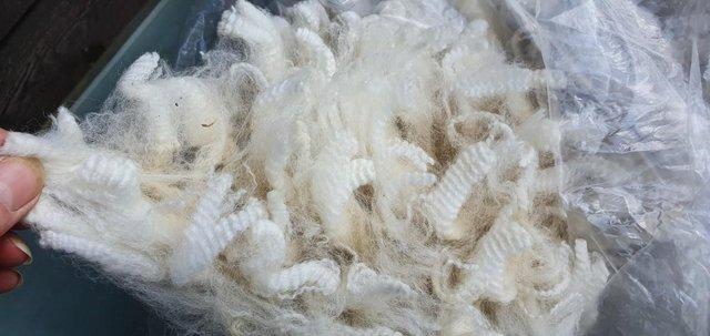 Preview of the first image of Alpaca fleece for sale - premium fibre from £17.50 per kg.