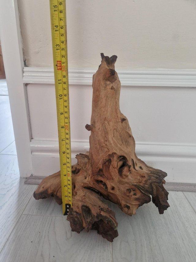 Preview of the first image of Large piece of Bogwood...