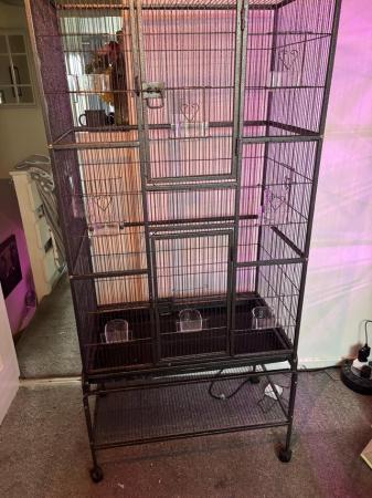 Image 8 of Large metal parrot or bird cage