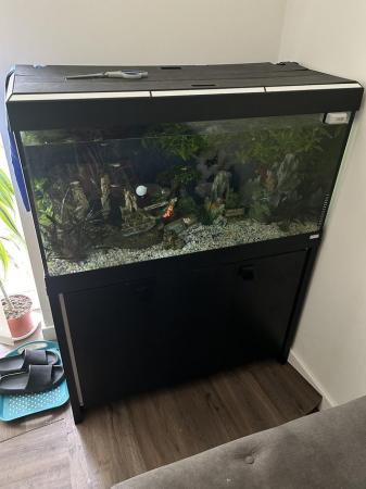 Image 7 of 200l fish tank and stand with everything u need all breeding