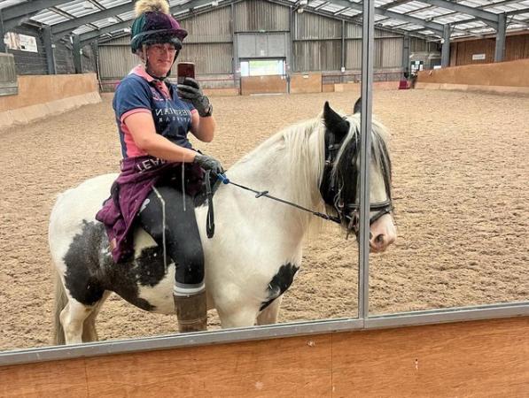Image 3 of 13.2hh cob gelding for part loan