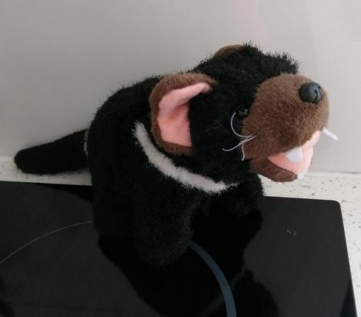 Image 16 of A Small "Tasmanian Devil" Soft Toy by Windmill Toys, Austral