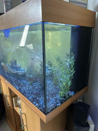 Image 2 of 240ltr fish tank aquarium