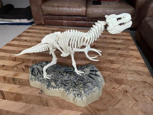 Preview of the first image of Tyrannosaurus Rex Freestanding Skeleton Model.