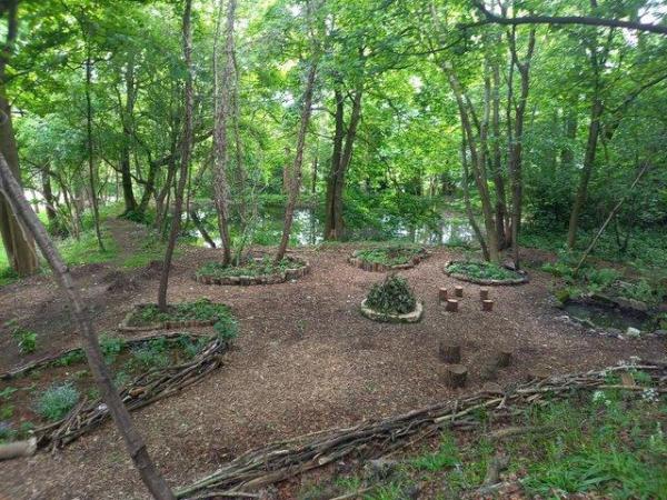 Image 2 of Rehome for ducks/moorhens/partridge/grouse/quail/guinea