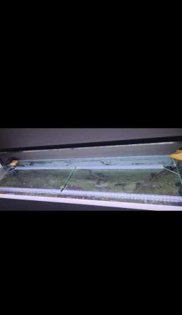 Image 2 of Fish + Aqua One 250L Tank With Cabinet + Fluval 407 Filter