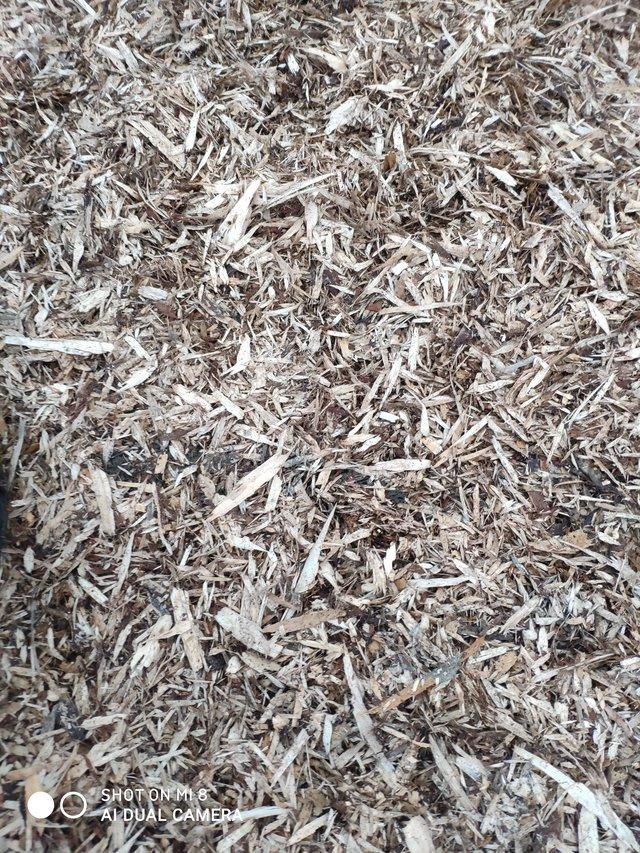 Preview of the first image of Free drop off for woodchip llanwrthwl.