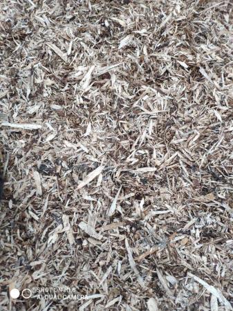 Image 1 of Free drop off for woodchip llanwrthwl