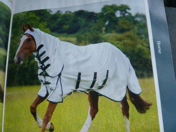 Image 1 of Shires Combo sweet itch /fly rugs