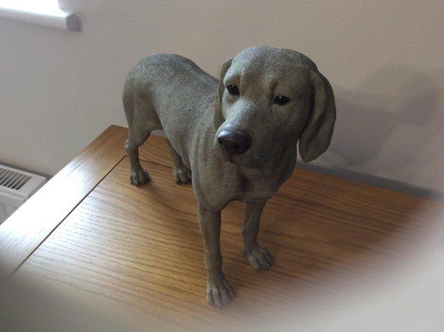 Preview of the first image of Weimaraner Ornament Standing dog.