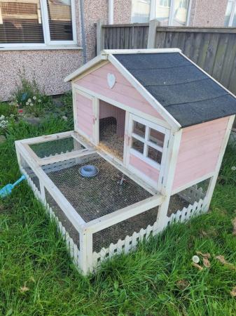 Image 5 of Full guinea pig set up including female pig outdoor cage and