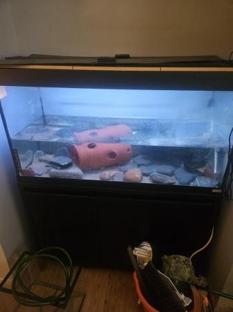 Image 2 of Fluval roma 240l tank with accessories