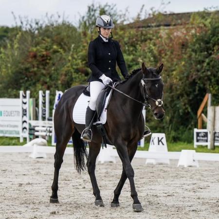 Image 1 of Stunning 15.3hh Allrounder Mare